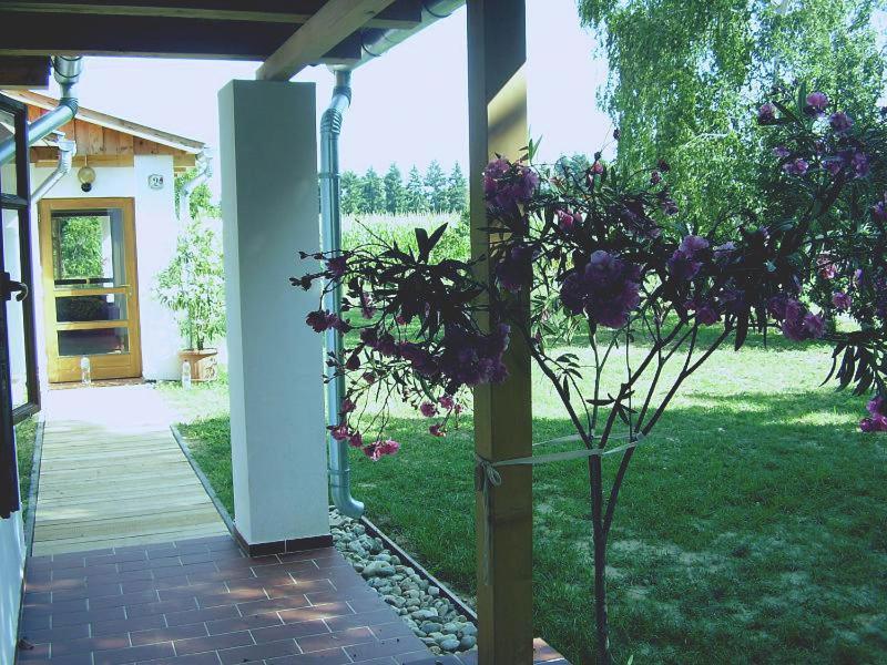Martonvendeghaz 1 Villa Gelse Екстериор снимка